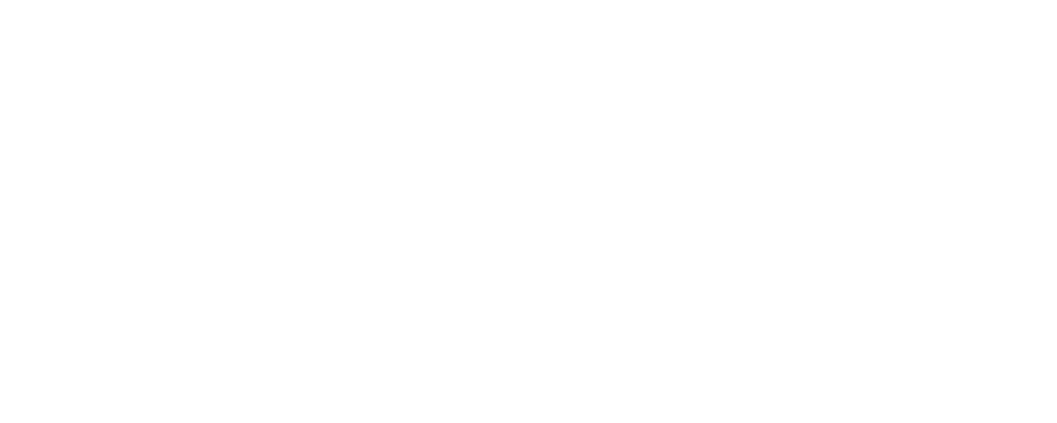 Flashyn
